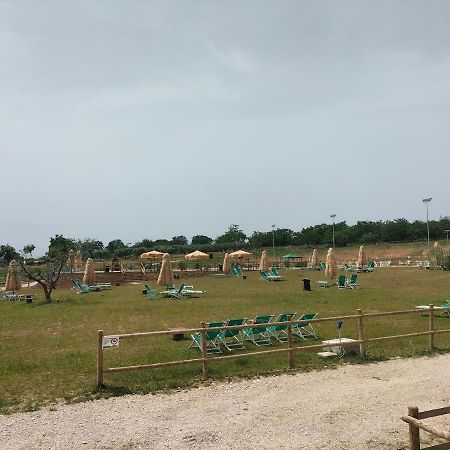 Abruzzo Horse Academy Apartamento Roseto Degli Abruzzi Exterior foto